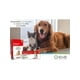 thumbnail image 2 of Antiparasitario Interno Brouwer Paracan Cachorros Gatos y Perros 9% blanco, 2 of 3