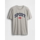 thumbnail image 4 of Camiseta GAP para hombre con logotipo gráfico tejida en gris jaspeado claro, talla S, 4 of 4
