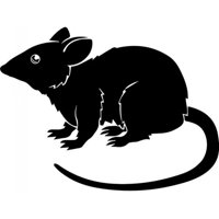 Rienda Libre Graphics - Decomural Rat Rodent Animals Ws-32779