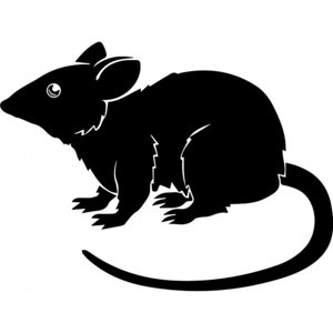 Rienda Libre Graphics - Decomural Rat Rodent Animals Ws-32779