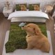 thumbnail image 1 of Puppy and Butterfly Themed Bedding Set Soft and Comfortable All-Season Duvet Cover and Pillowcase Set, 1 of 1