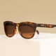 thumbnail image 5 of Gafas de sol goodr Bosley's Basset Hound Dreams Polarized, 5 of 7
