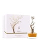 thumbnail image 1 of Summer Deciduous Aurora Scents Edp 100ml +9ml Mujer, 1 of 1
