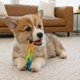 thumbnail image 5 of Juguete masticable para perros Pupstages 16 cm flexible y texturizado, 5 of 7