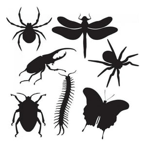 Rienda Libre Graphics - Decomural Insect Beetle Spider Set Ws-33083