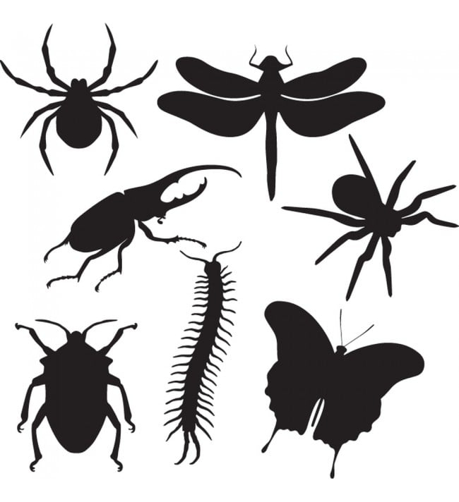 Rienda Libre Graphics - Decomural Insect Beetle Spider Set Ws-33083