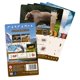 thumbnail image 1 of Cartas promocionales AEG Cascadia: Cartas de puntuación de fauna, 1 of 1