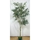 thumbnail image 2 of Planta Decorativa Árbol De Ficus 210Cm, 2 of 2