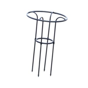 Ioensy - Enrejado De Metal Con Forma De Obelisco Para Jardín, Enrejado Para Plantas Trepadoras, Flores, Enredaderas, 70 Cm, Color Negro