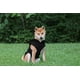 thumbnail image 4 of Suéter para perros, chaleco polar JACKO & CO, suave y cálido para perros de tamaño mediano, 4 of 8