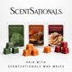 thumbnail image 4 of Calentador de cera Scentsationals Tabitha Calabazas Halloween, 4 of 4