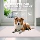 thumbnail image 2 of Alfombrillas higiénicas para perros HQ4US 4LEGS 91 cm × 61 cm, paquete de 35, 2 of 7