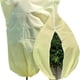 thumbnail image 1 of Cubiertas de plantas Protección contra la congelación 2 paquete 47.2 "* 70.8" con cremallera y cordón Paños de helada para plantas de jardín al aire libre Árbol macetas invierno Tiempo frío, 1 of 3
