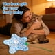 thumbnail image 3 of Juguete Interactivo para Gato Fayeerewo con Pluma Oculta, 1200 mAh y USB, 3 of 3
