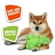 thumbnail image 1 of Juguete de Nickelodeon para mascotas Rugrats Reptar Figura de plush- verde, 1 of 2