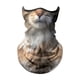 thumbnail image 4 of Bandana Mascarilla Transpirable Cara Cubierta Bufanda Verano Hielo Enfriamiento Cuello Polaina Gato, 4 of 5