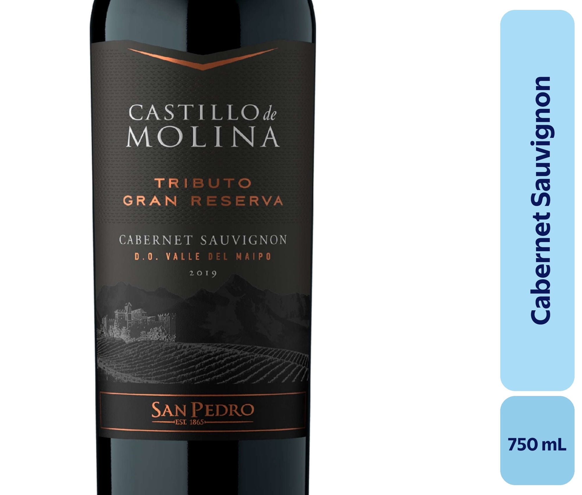 Vino Cabernet Sauvignon Botella 750 mL Castillo Molina
