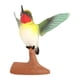 thumbnail image 4 of Hummingbird Modelo Figura Escultura De Animales Para Aulas Favores De Fiesta De Recompensa 3241, 4 of 5