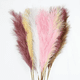 thumbnail image 2 of Ramo flores secas decoración, 2 of 3