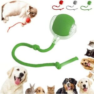 Veat00L - Genérico Interactive Rolling Dog Ball,Rolling Ball Dog Toy,Interactive Cat Toys Rolling Ball Chewy Dog Ball,Chewy Rolling Ball,Motion Activate Fast Rolling On Carpet Toys