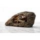 thumbnail image 4 of Escultura VEOJEIN Cueva Jurásica Réplica 3D de Fósil de T-Rex, 4 of 7