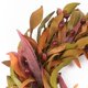 thumbnail image 4 of Corona HomeKaren 56 cm de Hojas de Olivo y Frutos Otoñales, 4 of 8