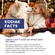 thumbnail image 3 of Aceite de salmón para perros y gatos Kodiak Naturals 946ml, 3 of 9