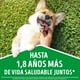 thumbnail image 4 of Alimento Seco Perro Longevidad Sabor Carne Bolsa, 3 Kg, 4 of 7