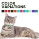thumbnail image 5 of Collar para gatos Bronzedog de piel con cascabeles extraíbles para gatos, color negro, 5 of 7