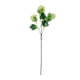 thumbnail image 1 of Rama Bola De Nieve Verde 81cm Realista, 1 of 3