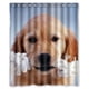 thumbnail image 1 of Cortina de ducha con bonitos cachorros dorados, juego de cortinas de baño con ganchos, tamaño 60 x 72 pulgadas, 1 of 3