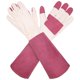 thumbnail image 2 of Guantes largos de jardinería, cuero espina prueba rosa poda guante para hombres y mujeres, gran regalo para jardinero (blanco/rosa rojo M par), 2 of 3