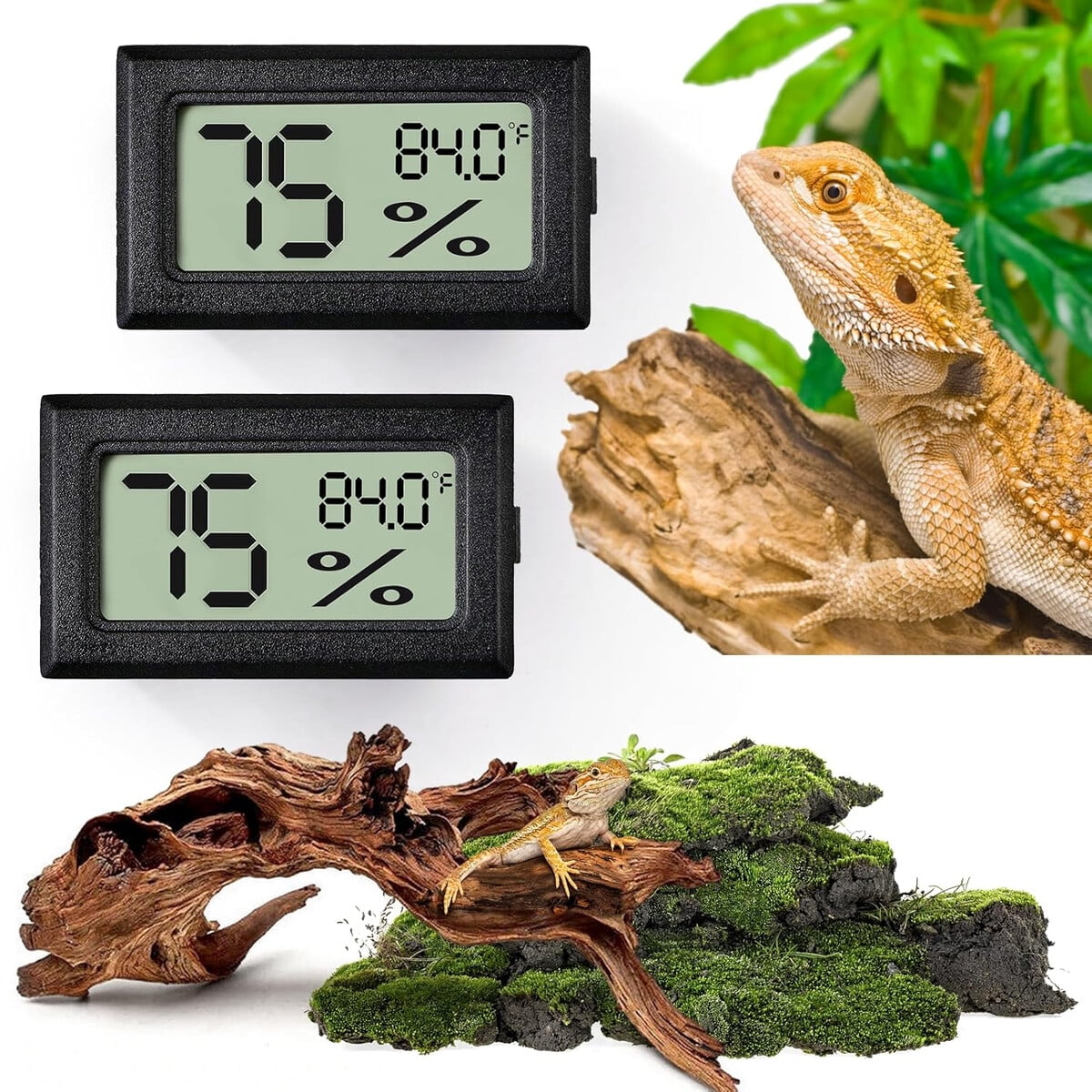 Termómetro Digital Y Medidor De Humedad Para Reptiles 2 Unidades