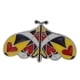 thumbnail image 5 of Set De 4 Pines Disney Villain Butterfly Themed Collection, 5 of 5