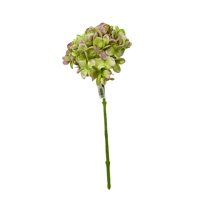 Corel - Hortensia Verde 45Cm Con Textura Realista