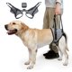 thumbnail image 1 of Arnés Elevador CNEO para Perros – Ajustable y Confortable, 1 of 6