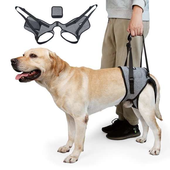 Arnés Elevador CNEO para Perros – Ajustable y Confortable