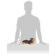 thumbnail image 3 of Peluche Aurora Adorable Flopsie Yorky Grey 30 cm, 3 of 4