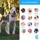 thumbnail image 5 of Collar de perro Blueberry Pet con flores turquesas y rosas para perros pequeños, 5 of 8