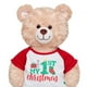 thumbnail image 2 of Polera 1st Navidad 25 25 Build-A-Bear, 2 of 2