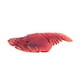 thumbnail image 4 of Juguetes De Criaturas Marinas Realistas Educativos Para Decoraciones Colección De Regalos Squilla, 4 of 5
