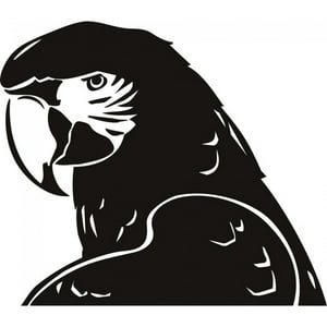 Rienda Libre Graphics - Decomural Macaw Parrot Tropical Bird Ws-18722