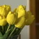 thumbnail image 3 of Tulipanes Amarillos en Cilinro de Vidrio 23 cm, 3 of 3