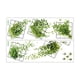 thumbnail image 2 of 2x 3D Plantas Vívidas Rejilla Calcomanía De Pared PVC Para Decoración De Pared Sala De Estar Estilo B, 2 of 5