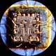 thumbnail image 5 of Microscopio AmScope Cabezal Trinocular 10x-30x, 5 of 5