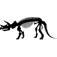 Rienda Libre Graphics - Decomural Triceratops Skeleton Dinosaur Fossil Ws-17606