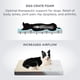 thumbnail image 3 of Cama ortopédica grande para perros con funda extraíble y lavable, 3 of 7