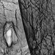 thumbnail image 3 of Tela espeluznante para Halloween Easeen Scary Spooky Black, 9 m x 2,2 m, 3 of 8