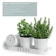 thumbnail image 5 of Set de macetas Barnyard Designs Farmhouse Herb Garden, color blanco, 5 of 21