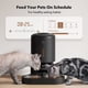 thumbnail image 3 of Dispensador automático de comida para gatos PETLIBRO 5L para dos gatos, 3 of 8